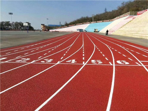 塑膠跑道案例大連外國語學院